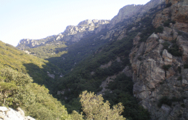 CAROUX - GORGES DE LA COLOMBIERES-herault