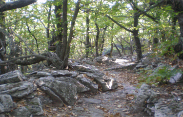 CAROUX - GORGES DE LA COLOMBIERES-herault