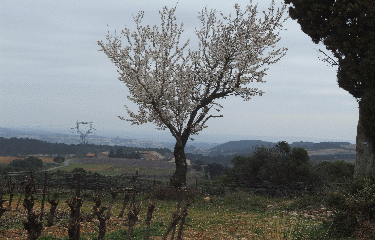 VILLESPASSANS-herault
