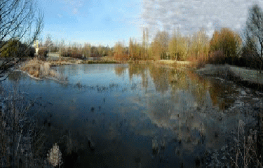 ACIGNE-ille-et-vilaine