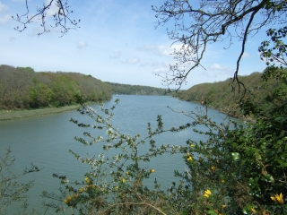 VICOMTE-SUR-RANCE (2)-ille-et-vilaine