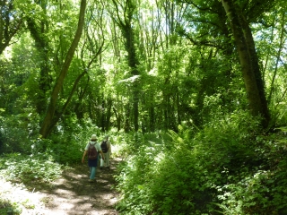 POINTE DE CANCAVAL-ille-et-vilaine