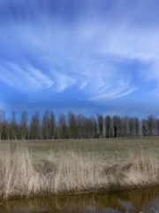 MARAIS DE DOL DE BRETAGNE-ille-et-vilaine