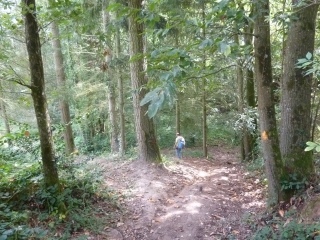 ROMAZY - VALLEE DU COUESNON-ille-et-vilaine