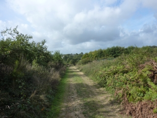 BOSSE-DE-BRETAGNE (2)-ille-et-vilaine