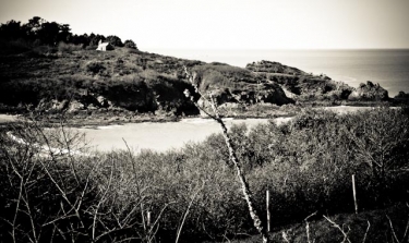 PORT MER - POINTE DU NID-ille-et-vilaine