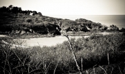 PORT MER - POINTE DU NID-ille-et-vilaine