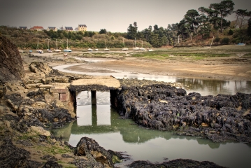 CHEVRETS - ANSE DE LA TOUESSE-ille-et-vilaine