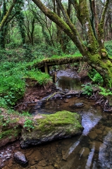 LOUTEHEL - VALLEE DE ROPENARD-ille-et-vilaine