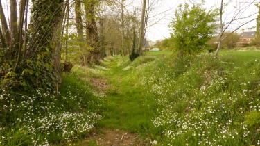 LOUVIGNE-DU-DESERT-ille-et-vilaine