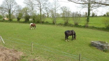 LOUVIGNE-DU-DESERT-ille-et-vilaine