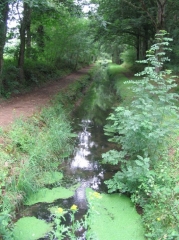 GUIPEL - RIGOLES DU CANAL D ILLE ET RANCE -ille-et-vilaine
