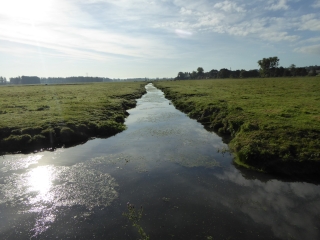 SOUGEAL-ille-et-vilaine