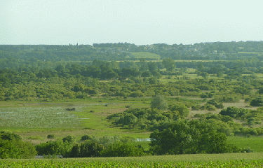 RIVIERES ET MARAIS DE BRAIN-ille-et-vilaine