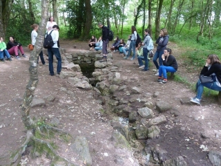 BROCELIANDE - LA FONTAINE DE BARENTON ET LE CHENE A GUILLOTIN-ille-et-vilaine