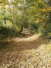GUIPEL - CIRCUIT DE LA NORMANDIERE-ille-et-vilaine