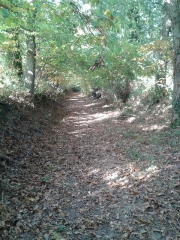 GUIPEL - CIRCUIT DE LA NORMANDIERE-ille-et-vilaine