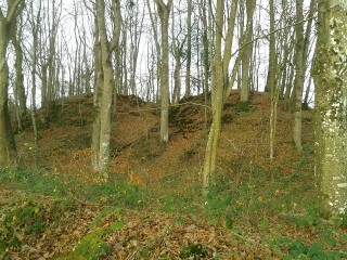 DINGE - CIRCUIT DE LA MOTTE AUX ANGLAIS -ille-et-vilaine