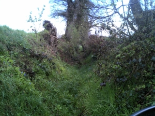 ROMAGNE DU NORD AU SUD-ille-et-vilaine