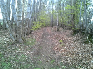 ROMAGNE DU NORD AU SUD-ille-et-vilaine