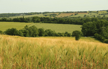 BOSSE-DE-BRETAGNE-ille-et-vilaine