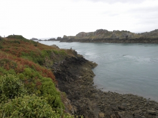 CANCALE - POINTE DU GROIN-ille-et-vilaine