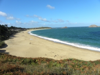 SAINT-COULOMB - ILE BESNARD - POINTE DE MEINGA-ille-et-vilaine