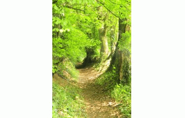 VALLEE DU COUESNON-ille-et-vilaine