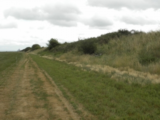 ROZ-SUR-COUESNON - MARAIS ET POLDERS-ille-et-vilaine