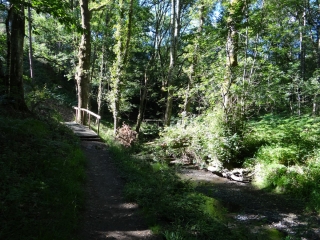ETANG DE BELOUZE PAR LA CHUTELAIS-ille-et-vilaine