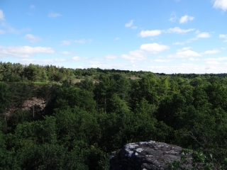 ETANG DE BELOUZE PAR LA CHUTELAIS-ille-et-vilaine