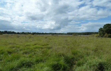 ETANG DE BOULET-ille-et-vilaine