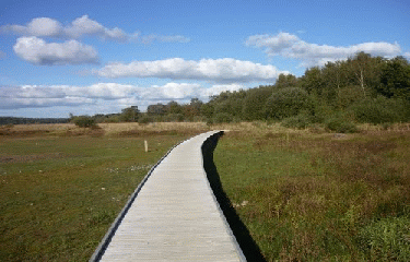 ETANG DE BOULET-ille-et-vilaine