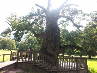 CIRCUIT DU PAYS DES FEES-ille-et-vilaine
