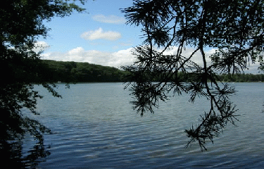 LAC DE TREMELIN-ille-et-vilaine