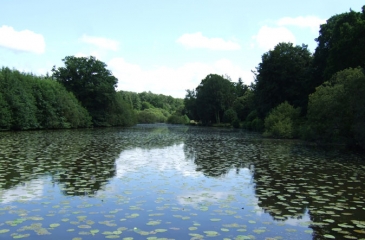 AUTOUR DE COMBOURG A VELO-ille-et-vilaine