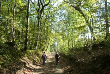 GUICHEN-ille-et-vilaine