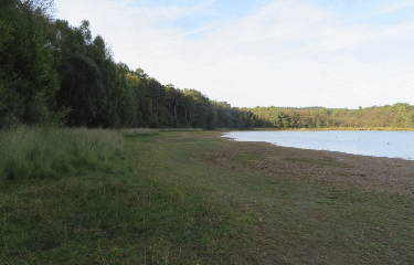 PAIMPONT- LE TOUR DE L ETANG DE L ABBAYE-ille-et-vilaine