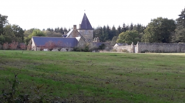 SAINT-MARC-LE-BLANC - CIRCUIT DES BOGUES (CIRCUIT COURT) -ille-et-vilaine