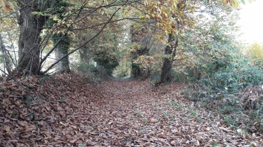 SAINT-REMY-DU-PLAIN - CIRCUIT DES CRETES - 8 KM-ille-et-vilaine