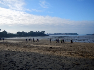 AUTOUR DE ROTHENEUF-ille-et-vilaine