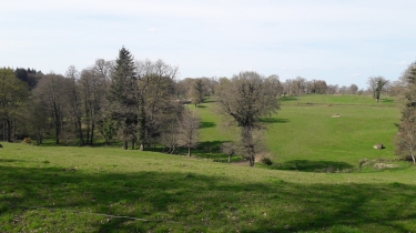 BAILLE - CIRCUIT DES FLEGES -ille-et-vilaine