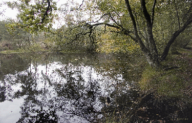 VALLEE DU MEU-ille-et-vilaine