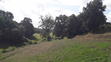 ROMAZY - CIRCUIT DU RUISSEAU DES SAULES-ille-et-vilaine