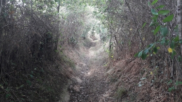 ROMAZY - CIRCUIT DU RUISSEAU DES SAULES-ille-et-vilaine