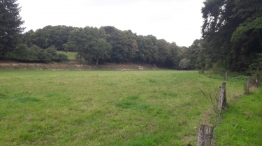 SAINT-ETIENNE-EN-COGLES - CIRCUIT DE LA MINETTE -ille-et-vilaine