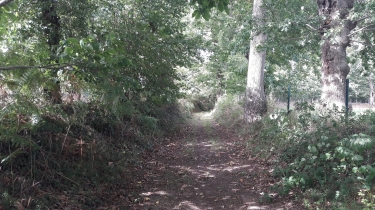 SAINT-ETIENNE-EN-COGLES - CIRCUIT DE LA MINETTE -ille-et-vilaine