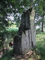 A LA MEMOIRE DE MERLIN - VARIANTE-ille-et-vilaine