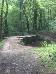 SAINT-THURIAL ET BARRAGE DE LA CHEZE-ille-et-vilaine