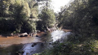 MEZIERES-SUR-COUESNON - BALADE AU PAYS DU COUESNON-ille-et-vilaine